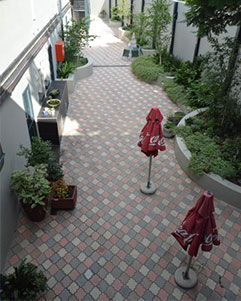 about pic1