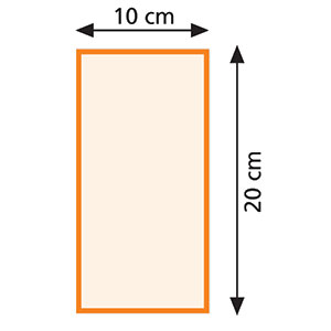 domino duo diagram
